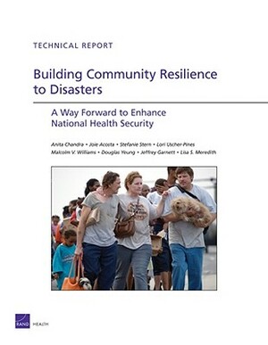 Building Community Resilience to Disaster: A Way Forward to Enhance National Health Security by Stefanie Stern, Joie Acosta, Anita Chandra