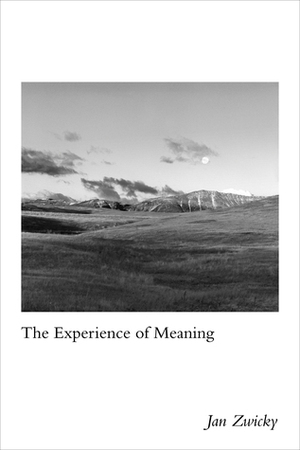 The Experience of Meaning by Jan Zwicky