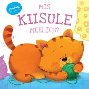 Mis kiisule meeldib? by Igloobooks