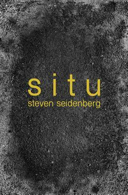 Situ by Steven Seidenberg