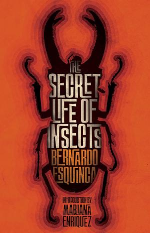 The Secret Life of Insects and Other Stories by Bernardo Esquinca