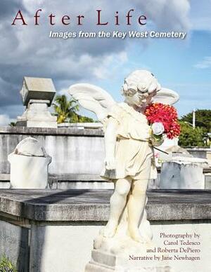 After Life: Images from the Key West Cemetery by Carol Tedesco, Roberta Depiero, Jane Newhagen