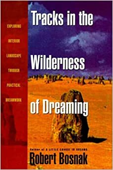 Tracks in the Wilderness of Dreaming by Robert Bosnak
