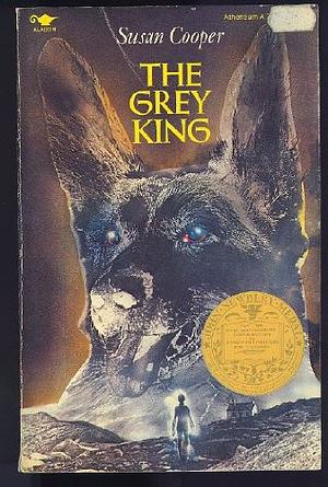 The Grey King by Susan Cooper