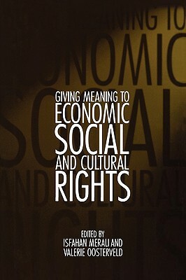 Giving Meaning to Economic, Social, and Cultural Rights by 