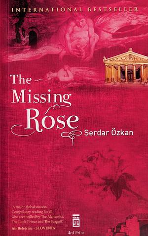 The Missing Rose by Serdar Özkan