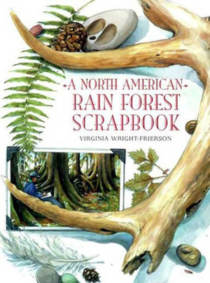 A North American Rain Forest Scrapbook by Virginia Wright-Frierson