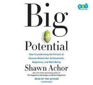 Big Potential: Five Strategies to Reach New Heights of Creativity, Productivity, Performance, and Success by Shawn Achor