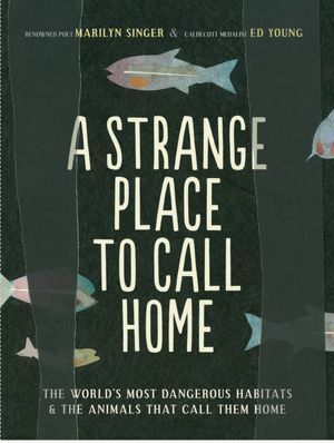 A Strange Place to Call Home: The World's Most Dangerous Habitats & the Animals That Call Them Home by Marilyn Singer, Ed Young