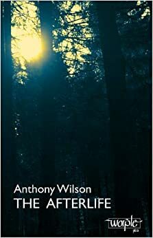 The Afterlife by Anthony Wilson