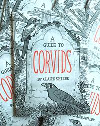 A Guide to Corvids by Claire Spiller