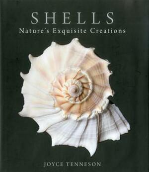 Shells: Nature's Exquisite Creations by Joyce Tenneson
