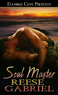 Soul Master by Reese Gabriel