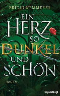 Ein Herz so dunkel und schön: Roman by Brigid Kemmerer