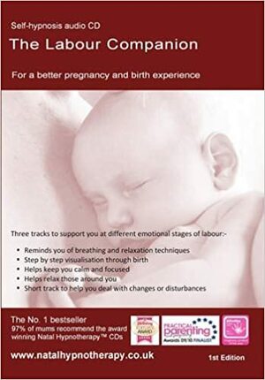 The Labour Companion: For a Better Birth Experience by Maggie Howell