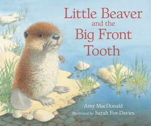 Little Beaver and the Big Front Tooth by Amy MacDonald