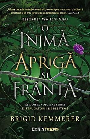 O inimă aprigă și frântă by Brigid Kemmerer