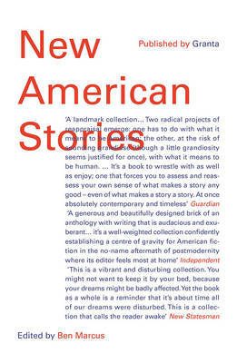 New American Stories by Ben Marcus