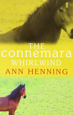 The Connemara Whirlwind by Ann Henning