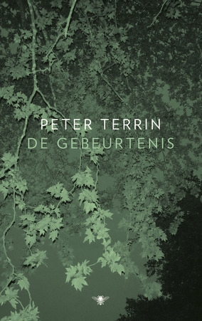 De gebeurtenis by Peter Terrin