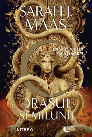 Casa Focului si a Umbrei by Sarah J. Maas