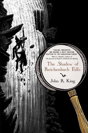 The Shadow of Reichenbach Falls by John R. King