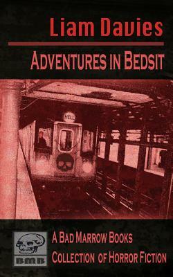 Adventures in Bedsit: a comic-horror novella and short story collection by Liam Davies