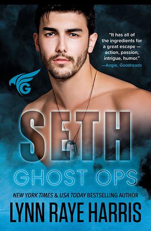 SETH A Small Town, Enemies to Lovers, Military Protector Romance Ghost Ops Book 3 by Lynn Raye Harris