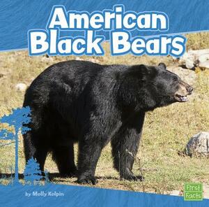 American Black Bears by Molly Kolpin