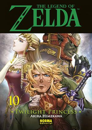 The Legend of Zelda: Twilight Princess, Vol. 10 by Akira Himekawa