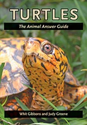 Turtles: The Animal Answer Guide by Judy Greene, Whit Gibbons