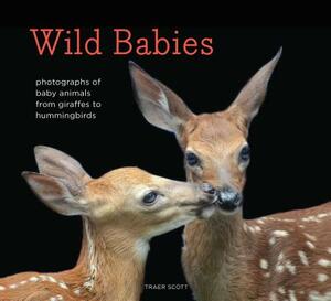 Wild Babies: Photographs of Baby Animals from Giraffes to Hummingbirds by Traer Scott