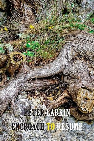 Encroach to Resume by Peter Larkin