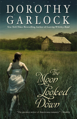 The Moon Looked Down by Dorothy Garlock