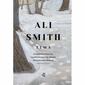Zima by Ali Smith