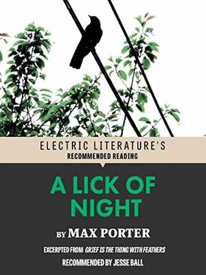 A Lick of Night: Excerpted from Grief is the Thing With Feathers (Electric Literature's Recommended Reading) by Jesse Ball, Max Porter