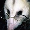 possumpages's profile picture