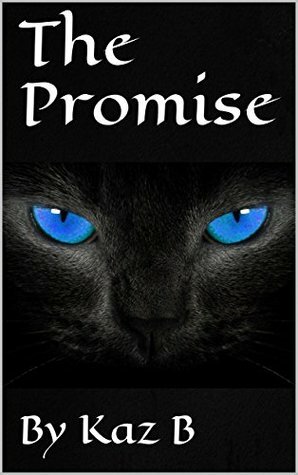 The Promise by Kaz B.