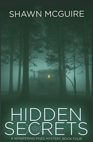 Hidden Secrets by Shawn McGuire