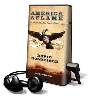 America Aflame: How the Civil War Created a Nation by David R. Goldfield