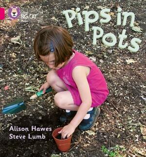 Pips in Pots by Alison Hawes