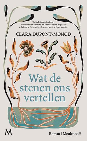 Wat de stenen ons vertellen by Clara Dupont-Monod