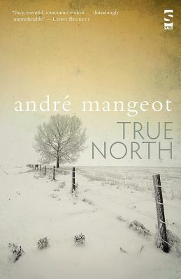 True North by Andre Mangeot