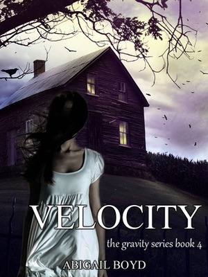 Velocity by Abigail Boyd