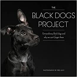 Black Dogs Project: Capturing the Beauty of the Real Underdogs by Fred Levy