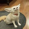 piddgeon's profile picture