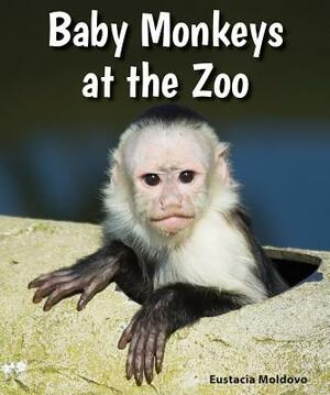 Baby Monkeys at the Zoo by Eustacia Moldovo