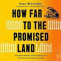 How Far to the Promised Land by Esau McCaulley