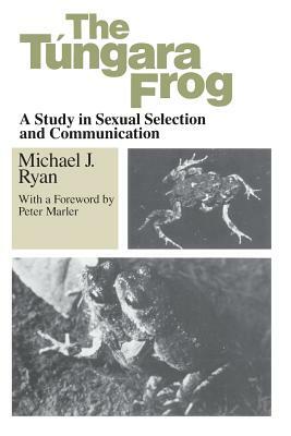 The Tungara Frog: A Study in Sexual Selection and Communication by Michael J. Ryan