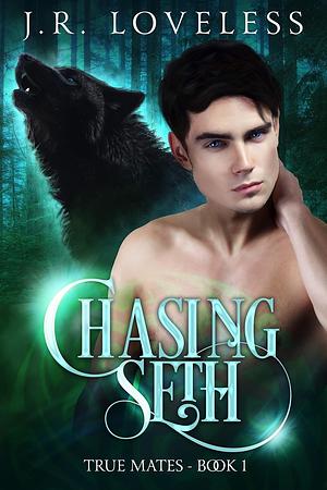 Chasing Seth by J.R. Loveless
